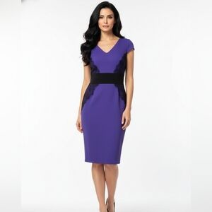 Temira Collection Purple Scuba Dress Size L